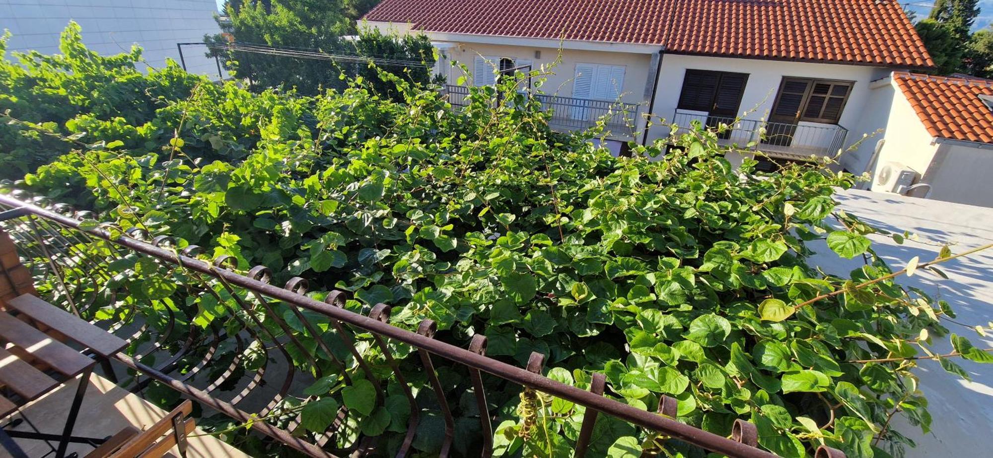 Palute Supetar Exterior foto
