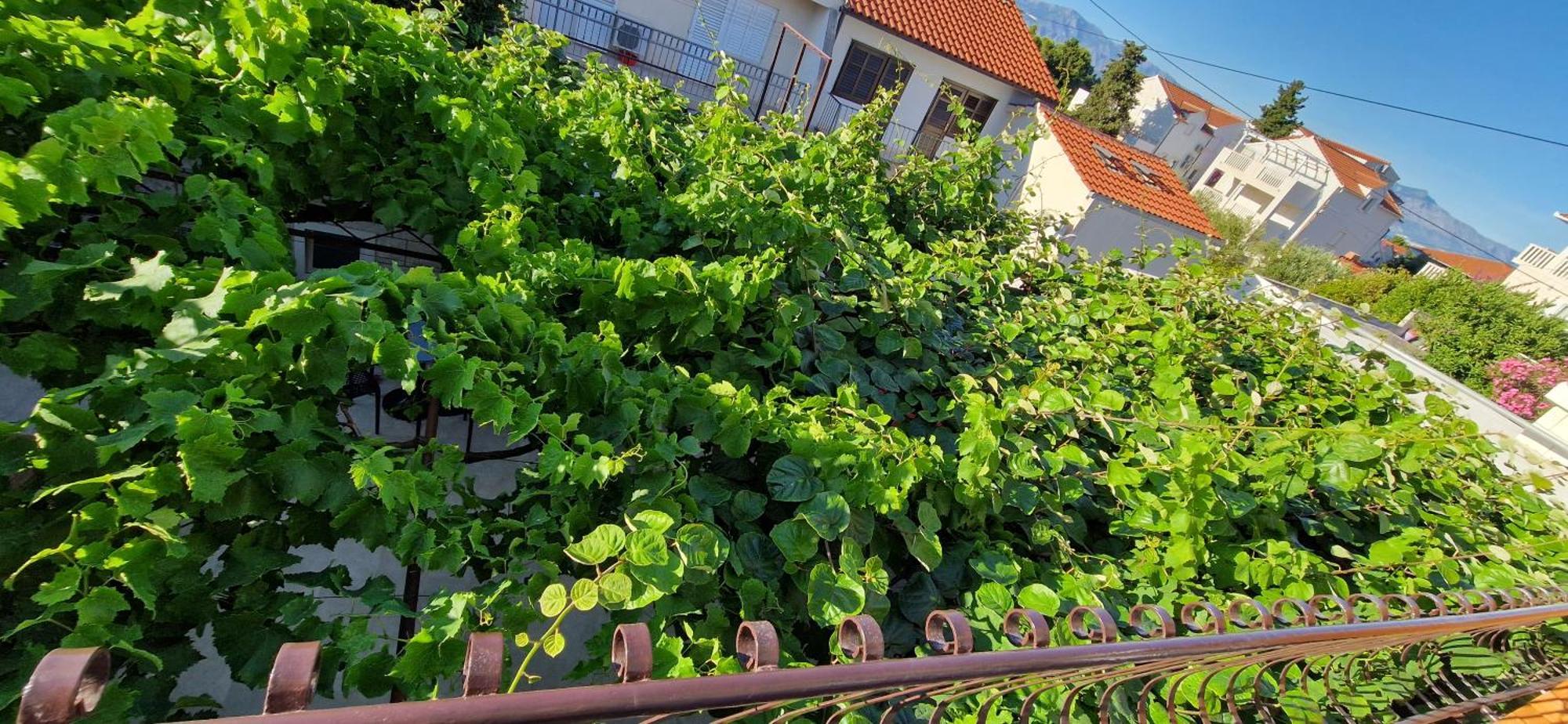 Palute Supetar Exterior foto